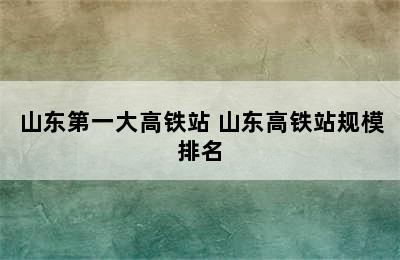 山东第一大高铁站 山东高铁站规模排名